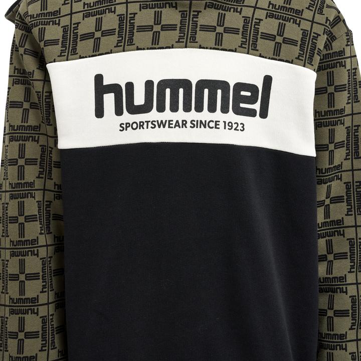 Produktbild hummel Hmlcolden Hoodie (110)