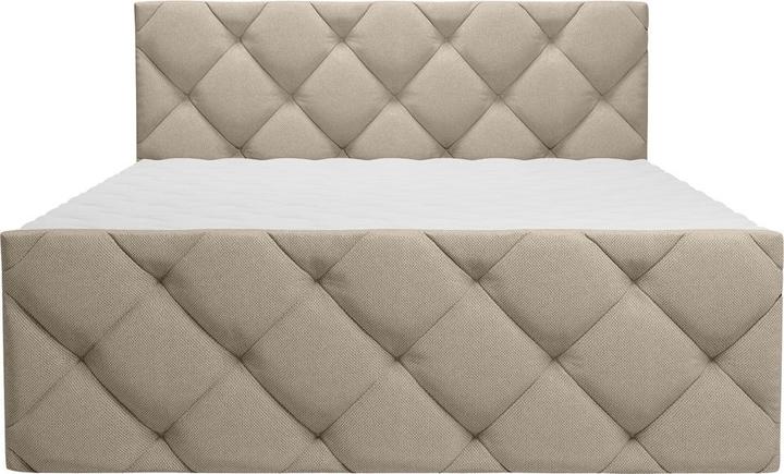 Immagine prodotto Livetastic Pedro (180 x 200 cm)