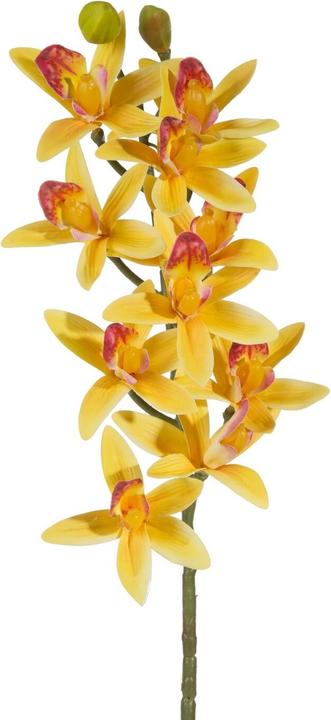 Eurofirany KW/NATU/369/GEEL+ROZE (76 cm)