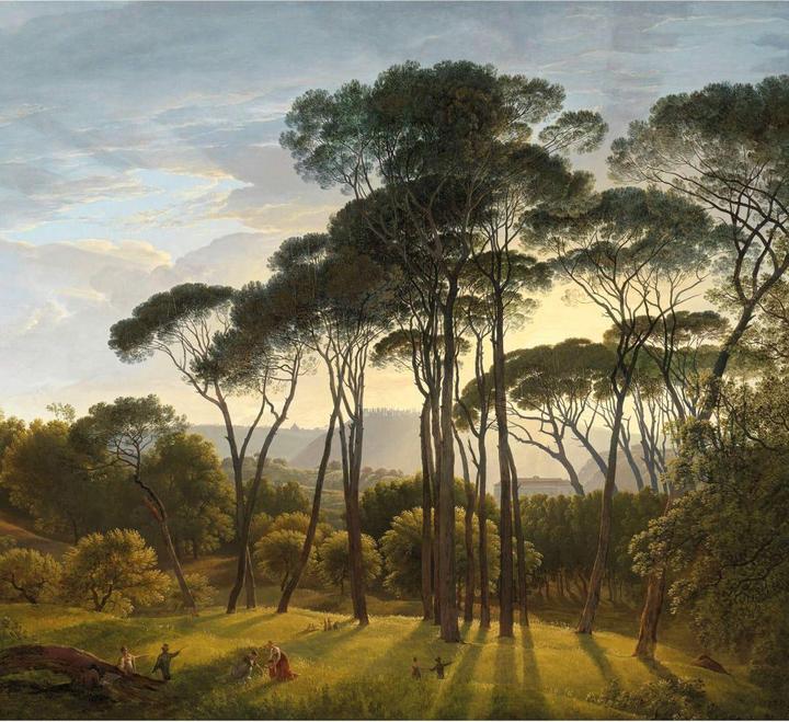 Produktbild Trenddeko Italienische Landschaft mit Schirmkiefern (336 x 300 cm)