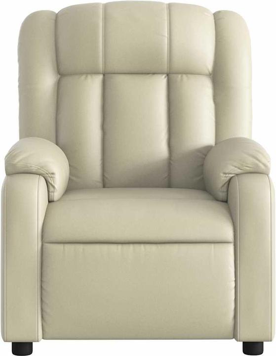 Actual product image VidaXL Juneberry