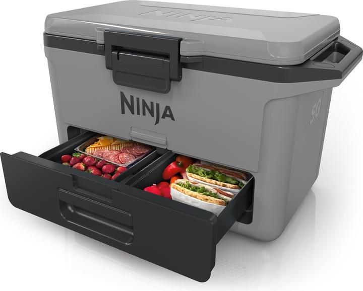 Actual product image Ninja FrostVault FB151EUGY (47 l)
