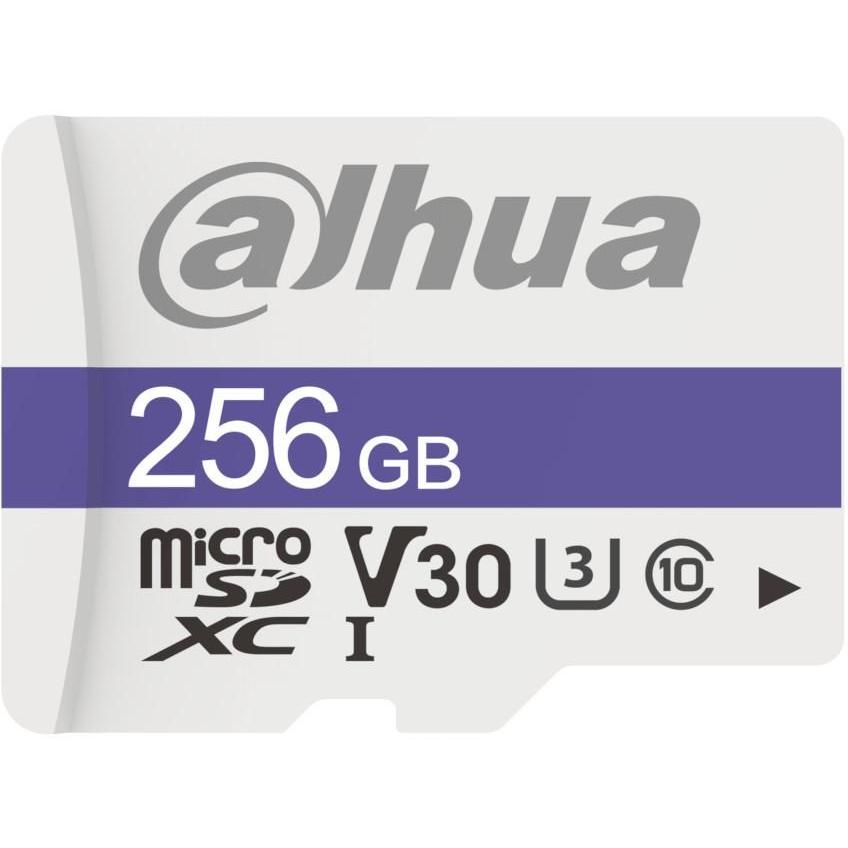 Dahua Karte TF-C100 MicroSDXC 256 GB Klasse 10 U3 V30 (TF-C100 (256 GB, microSDXC, U3), Speicherkarte, Silber