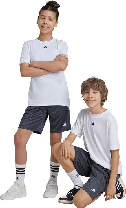 Actual product image adidas Train Essentials Logo (176)