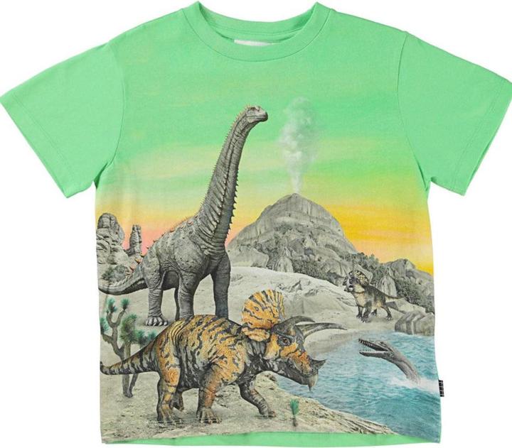 Actual product image Molo T Shirt Rame Dinos (92)