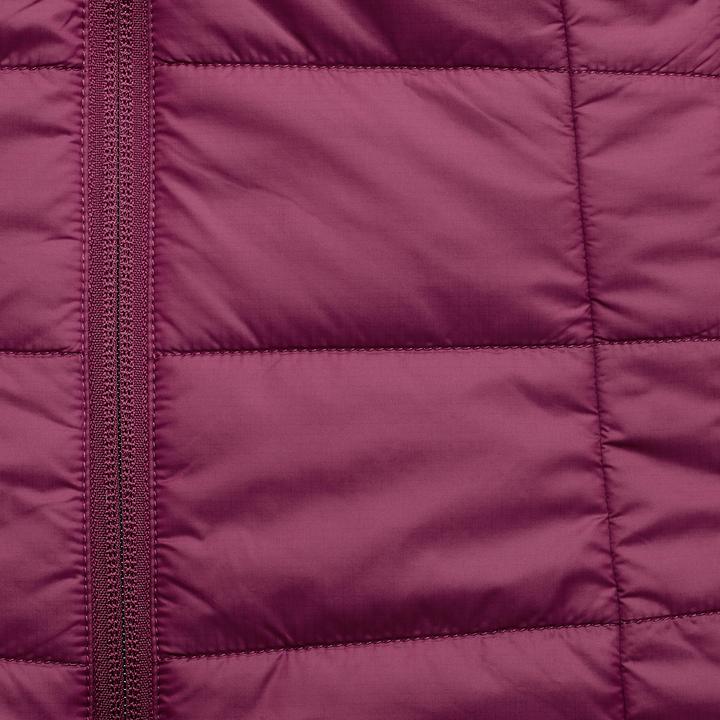 Actual product image Forclaz TREK100 (L)