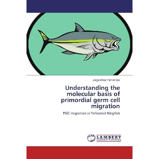 Understanding the molecular basis of primordial germ cell migration, Fachbücher von Jorge Amat Fernández