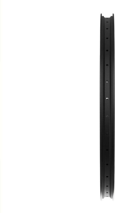 Immagine prodotto Avian HexLab carbone (20")