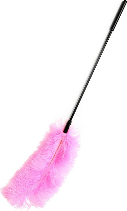 Hidden Desire Double Feather Tickler
