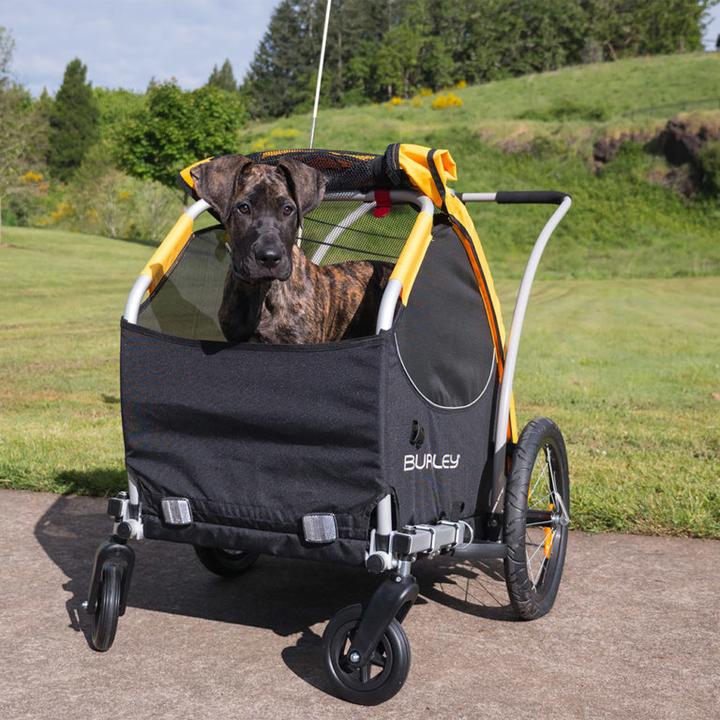 Produktbild Burley Tail Wagon