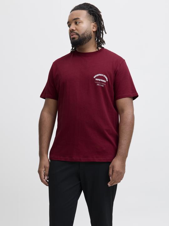 Immagine prodotto Jack & Jones Plus Size T-shirt T-shirt (7XL)