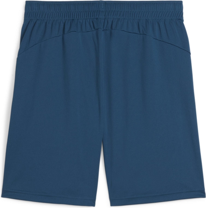 Actual product image Puma individualFINAL Shorts (M)