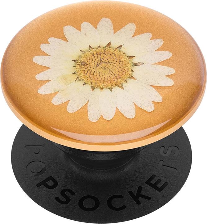 Produktbild PopSockets Pressed Flower Daisy