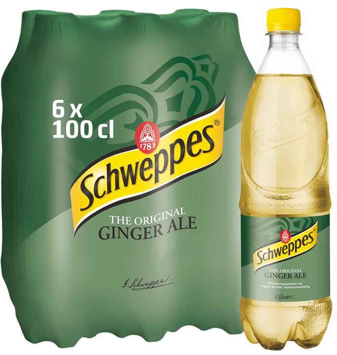 Schweppes Ginger Ale (6 x 100 cl)
