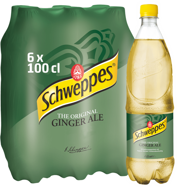 Produktbild Schweppes Ginger Ale (6 x 100 cl)