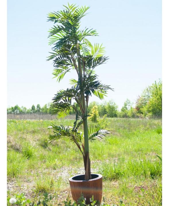 Produktbild Europalms Parlour Palme, Kunstpflanze, 150cm (150 cm)