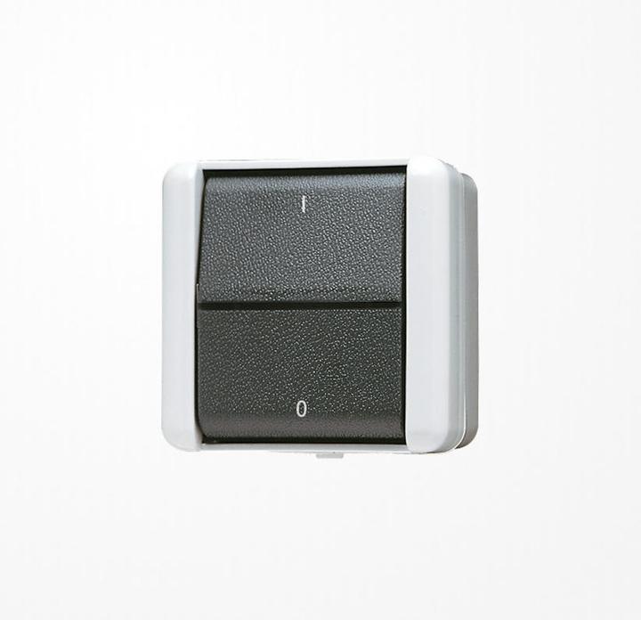 Produktbild JUNG Wippschalter