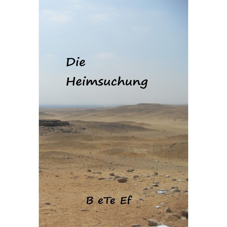 Romanreihe / Die Heimsuchung, Belletristik von Künstlername B ete Ef
