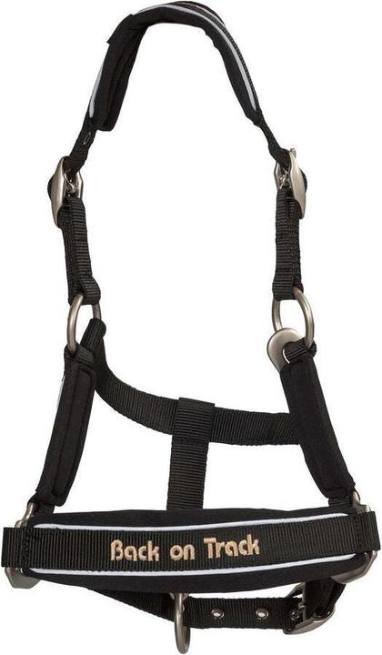 Back on Track Werano