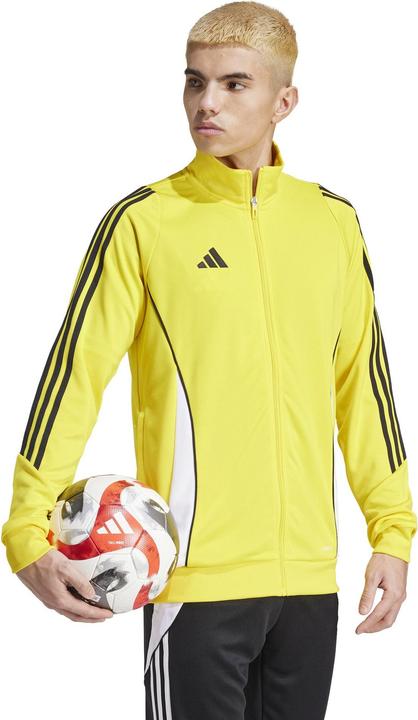 Actual product image adidas TIRO24 TRJKT (XS)