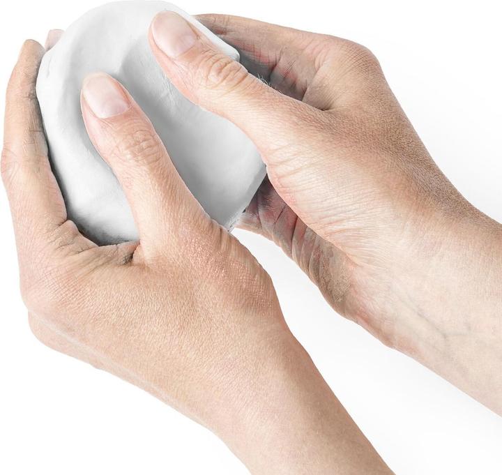 Actual product image Fimo Modelling clay