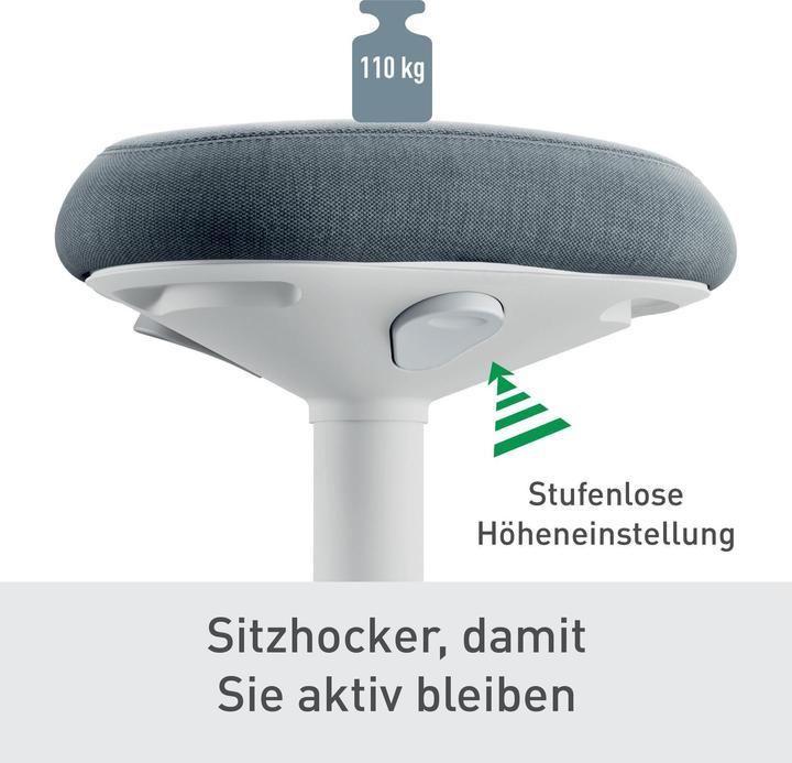 Actual product image Leitz Ergo Active