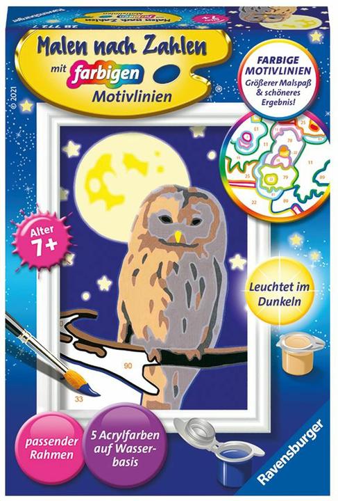 Produktbild Ravensburger Nachteule