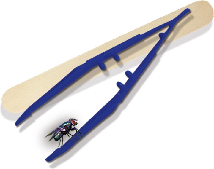 Produktbild Ses Insecten Explorer