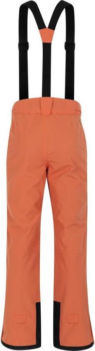 Actual product image Dare2b Achieve II Pant (L)