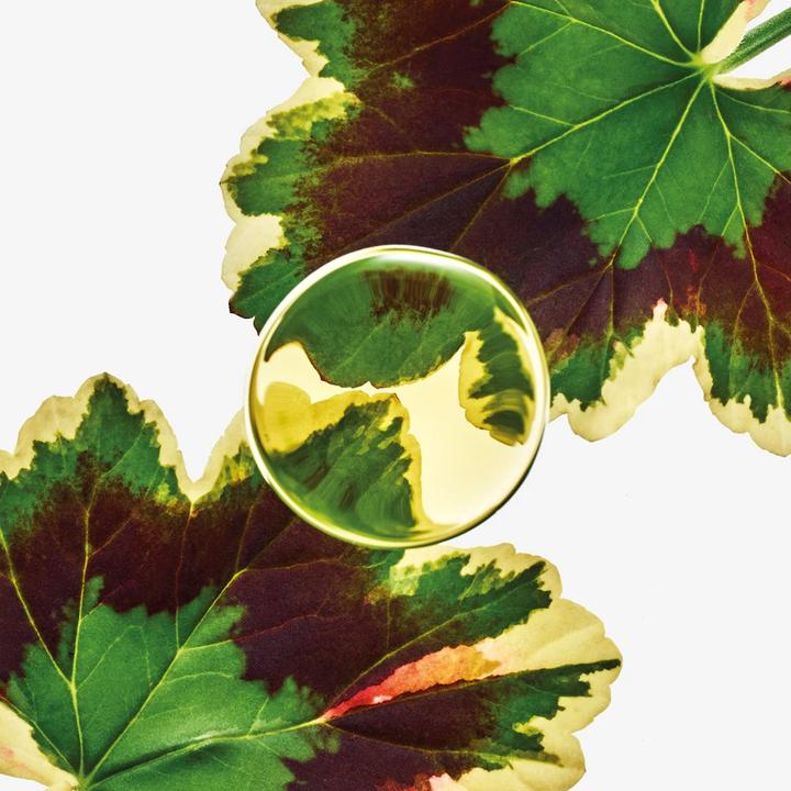 Immagine prodotto Loewe Esencia Elixir (Eau de parfum, 100 ml)