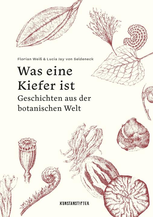 Produktbild Was eine Kiefer ist (Deutsch, Lucia Jay von Seldeneck, 2024)