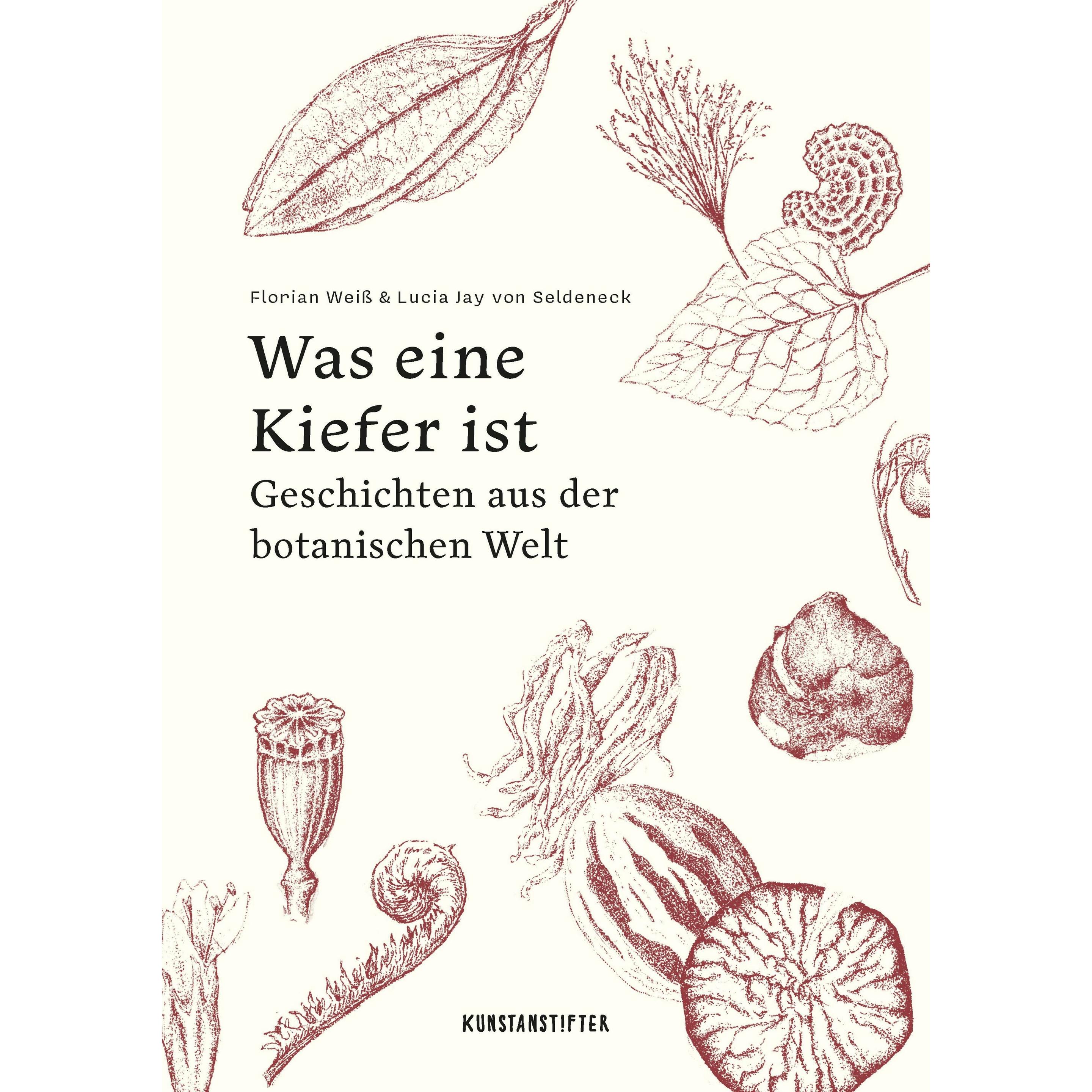 Was eine Kiefer ist, Belletristik von Lucia Jay von Seldeneck