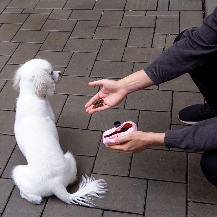 Produktbild Intirilife Leckerlibeutel für Hunde mit Gürtelclip (One Size)