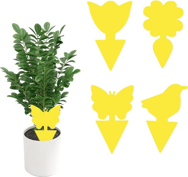 Actual product image König Design Flypaper yellow boards (20 pieces)