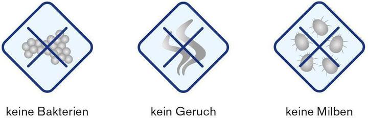 Produktbild DOR Duvet-Schutzhülle SANITIZED (Duvetbezug, 160 x 210 cm)