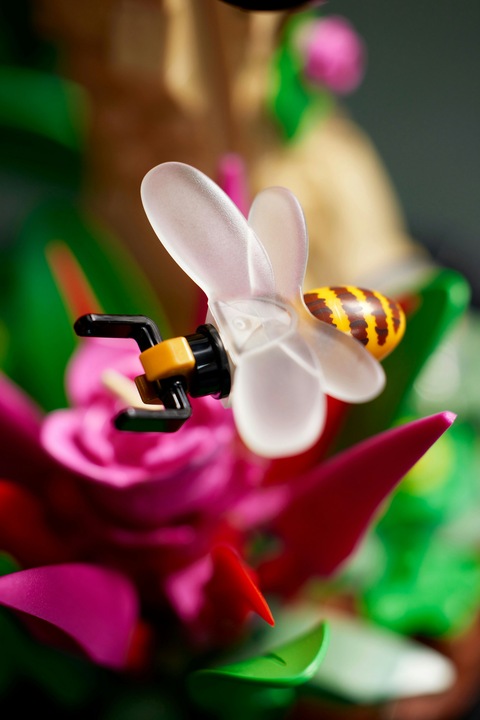 Actual product image LEGO Ideas The insect collection (21342, LEGO Ideas)