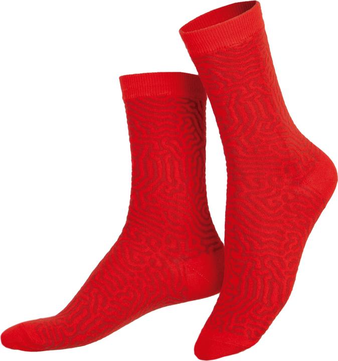 Image du produit Eat My Socks Chorizo chaud (Une unité par pack, Taille unique)