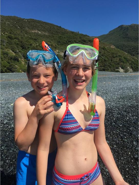 Produktbild Schildkröt Barbados