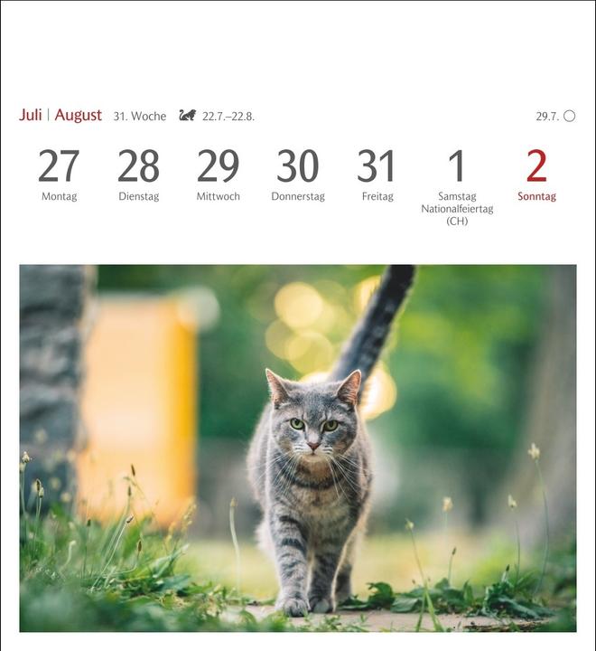 Actual product image Harenberg Katzen Postkartenkalender 2026 - Wochenkalender mit 53 Postkarten (Hardcover, German)