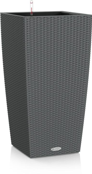 Lechuza Cubico Cottage (39.50 x 39.50 x 75.50 cm)