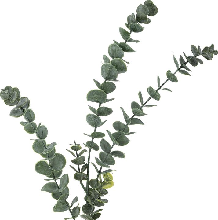 Immagine prodotto Bloomingville Eucalyptus (76 cm)