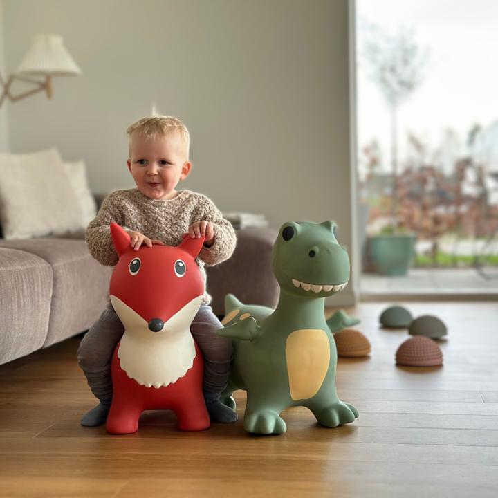 Image du produit Find That Hippo Hüpftier Lela Fuchs