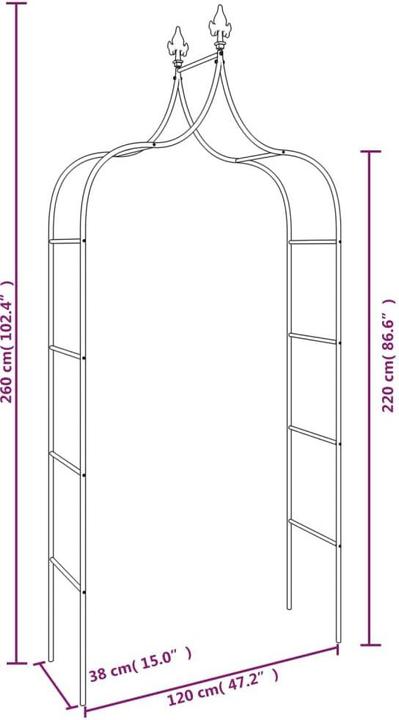 Image du produit vidaXL Gartenbogen (38 cm, 120 cm)