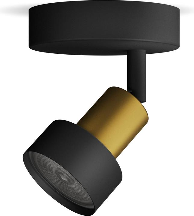 Immagine prodotto Philips Condotto (GU10)