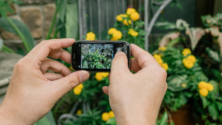 Immagine prodotto Unihertz Gelatina 2E -puhelin, 64/4 Gt, hopea (64 GB, Argento, 3", 4G)