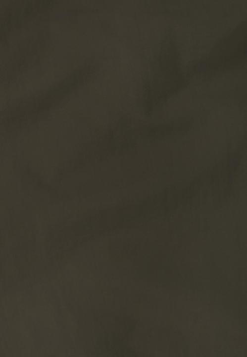 Image du produit Jack Wolfskin Duneland Cargo Shorts M (52)