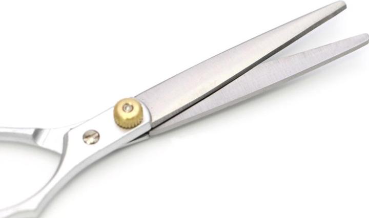 Image du produit Noya Modellier- & Schneideschere (15 cm)