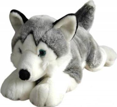 Image du produit Dubi Husky 62 cm (62 cm)