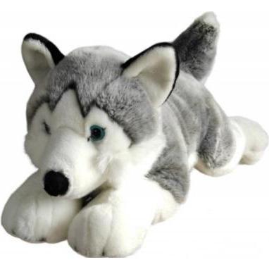 Dubi Husky 62 cm (62 cm)