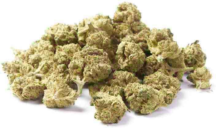 Produktbild Herba di Berna Cannatonic Indoor Mini Buds (21 g, Indoor)